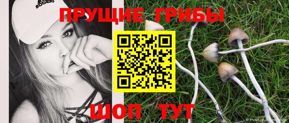 Нижневартовск  Псилоцибиновые грибы Psilocybe  Вход с VPN 