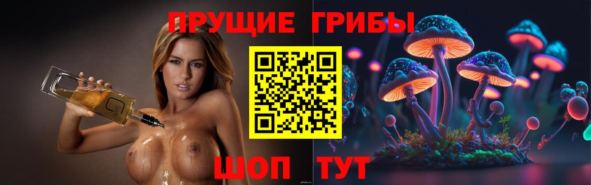 Псилоцибиновые грибы Psilocybe Нижневартовск